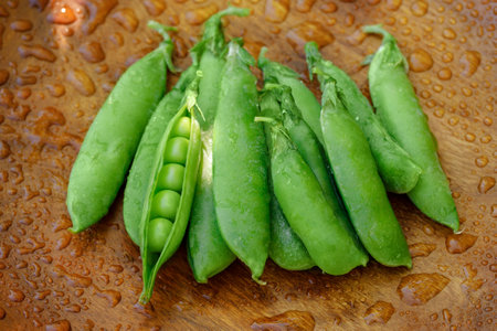 Freshly harvested green peas with droplets on wood background with sunlightの写真素材