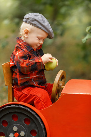Child in red shirt picking apples on a farm in autumn. Farmer boy on a small red wooden tractor near...