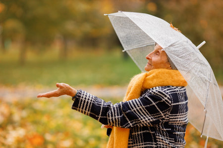 An elderly woman in a yellow scarf stands in an autumn park, holding a bouquet of yellow leaves and a transparent umbrella. She looks up at the sky, checking if its raining.の写真素材
