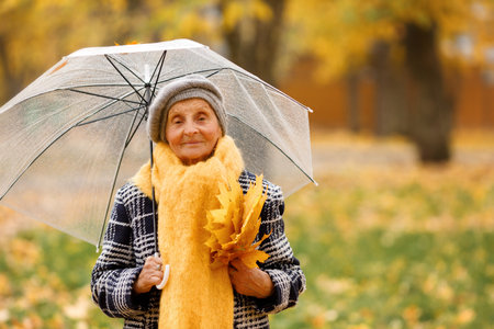 An elderly woman in a gray beret, holding a bouquet of yellow leaves, walks through an autumn park under a transparent umbrella, enjoying the peaceful atmosphere of nature.の写真素材