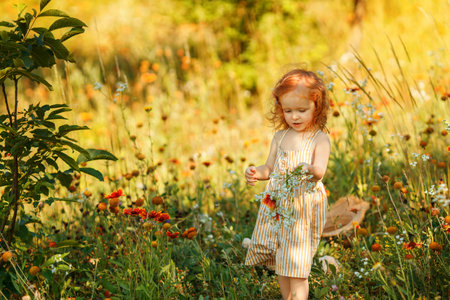 Little red-haired girl in a striped dress walking through a blooming summer meadow, holding a bouquet of wildflowers on an outstretched arm as if bringing it to someone with joy.の写真素材