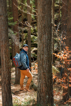 Man in cap and blue vest standing on forest trail with tree roots. Hiking, nature, outdoor activity.の写真素材