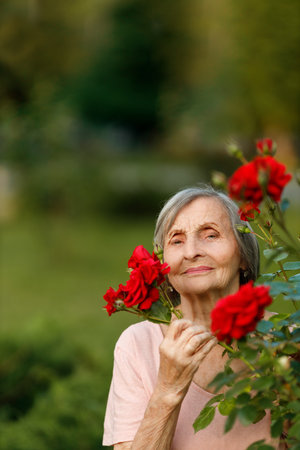 A graceful elderly woman in her 80s stands in a garden, surrounded by blooming red roses, holding a branch gently.の写真素材