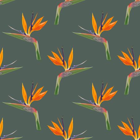 Seamless floral pattern. Abstract exotic flower. Wallpaper, print, wrapping paper, modern textile design. Vector illustration.のイラスト素材