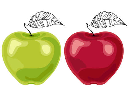 Green and red apples with leaves on a white background. Ripe and juicy apple. Vector illustration.のイラスト素材