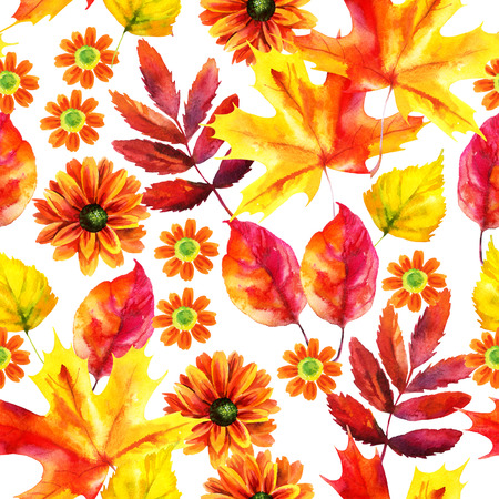 Autumn watercolor seamless pattern with autumn leaves and flowers on white background. Hand painted fall illustrationの写真素材