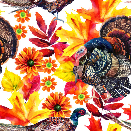 Autumn watercolor seamless pattern with turkey bird, pheasant and autumn leaves and flowers on white background. Hand painted fall illustrationの写真素材