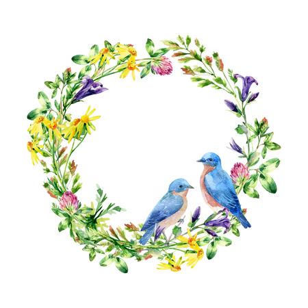 Watercolor wild flowers qand small birds wreath. Bluebird couple. Bell flower, clover, daisy, weeds and meadow herbs. Watercolor wild field wreath. Hand painted floral illustrationの写真素材