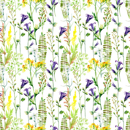 Watercolor meadow flowers seamless pattern. Watercolor wild bellflowers, daisy and herbs background. Hand painted illustrationの写真素材