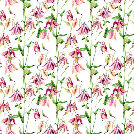 Watercolor meadow bellflowers seamless pattern. Watercolor wild columbine flowers on white background. Hand painted illustrationの写真素材