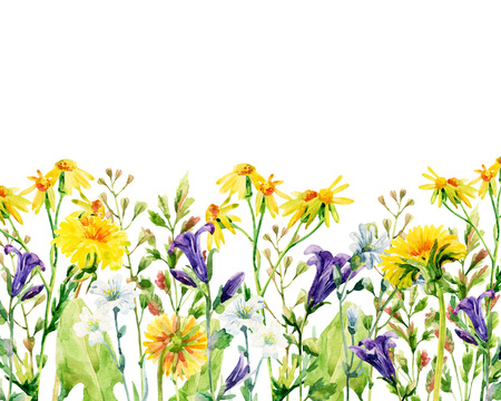 Meadow watercolor flowers card. Watercolor wild bellflowers, dandelion, daisy, weeds and herbs background. Hand painted natural illustrationの写真素材