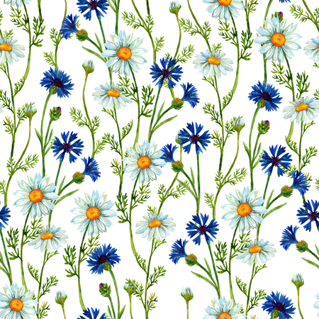 Watercolor meadow seamless pattern with chamomiles and cornflowers. Hand painted illustrationの写真素材