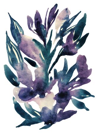 Abstract floral collection. Watercolor flowers isolated on white background. Hand painted watercolor purple flowers illustrationの写真素材