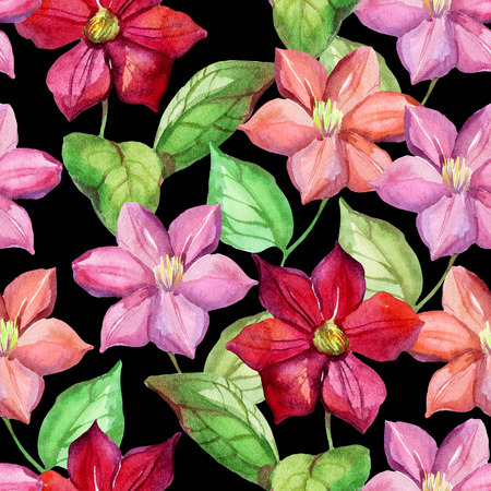 Watercolor clematis seamless pattern. Hand drawn garden backgroundの写真素材