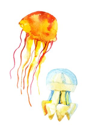 Colorful jellyfish set. Watercolor illustrationの写真素材