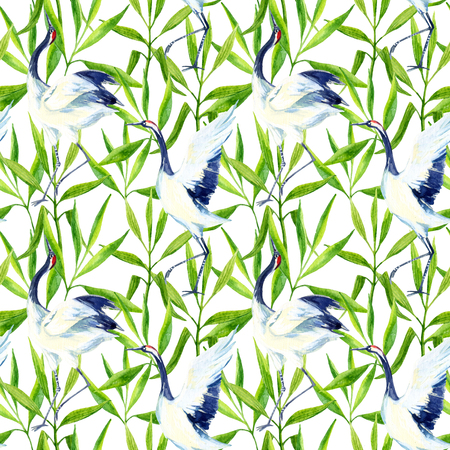 Watercolor asian crane bird seamless pattern. Hand painted bamboo illustration on white backgroundの写真素材