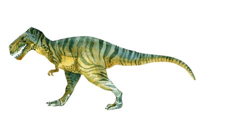 Tyrannosaurus Rex. Watercolor Dinosaur illustration