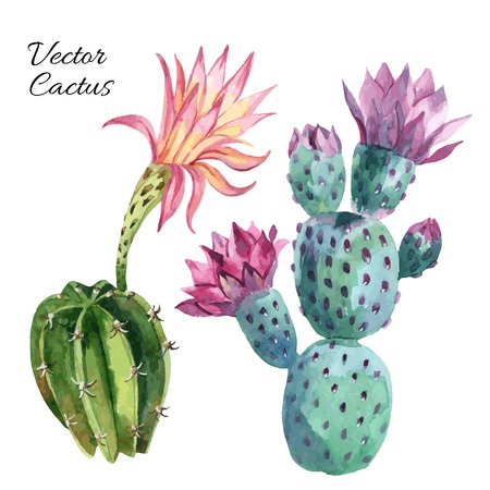 Watercolor cactus set isolated on white background. Hand painted vector illustrationのイラスト素材