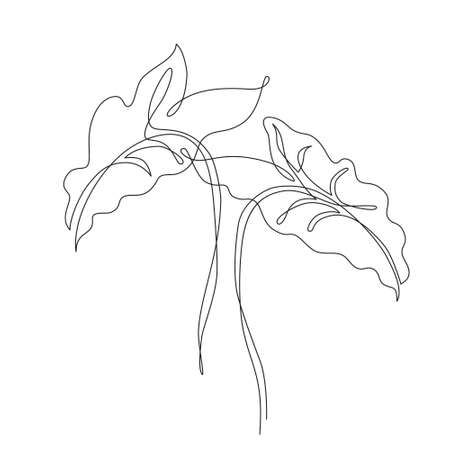 Abstract one line art of elephant ears leaves. Tropical leaves set isolated on white background. Continuous line drawing for trendy modern design. Vector foliage illustration in minimal styleのイラスト素材