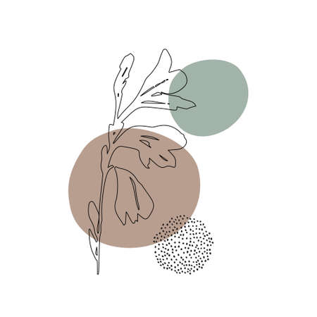 Botanical wall art with abstract geometric shape, meadow wild flower line art drawing, minimal doodles. Contemporary poster for minimal print, boho wall decor, flat design Vector minimal artのイラスト素材
