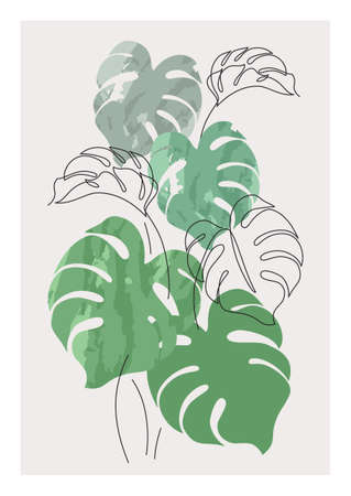 Abstract minimal monstera leaves plant in one line drawing and watercolor silhouettes. Modern vector illustration in continuous line art style. Simple botanical concept for summer designのイラスト素材
