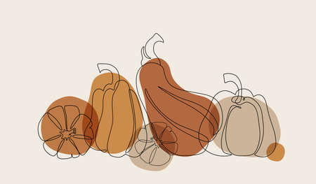 Modern abstract pumpkin drawing. Autumn pumpkins outlines on geometric background. Squashes line art wallpaper for boho style, fall mood, thanksgiving, halloween, notebook printのイラスト素材