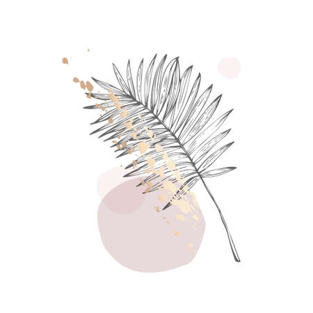 Abstract one line art tropical leaf. Fan palm leaf contour drawing. Minimal continuous line art palm leaf on geometric shapes, paint splatters, drips backgroud in pink rose blush colors. Vector artのイラスト素材