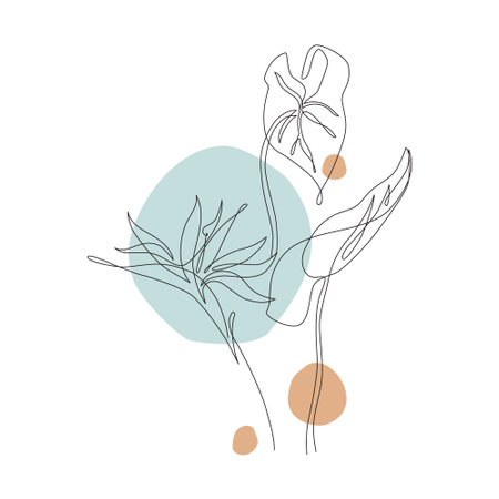 Abstract one line art tropical flower, monstera leaf. Strelitzia contour drawing. Minimal continuous line art flower, exotic leaf on geometric shapes background. Vector art. Elegant line drawingのイラスト素材