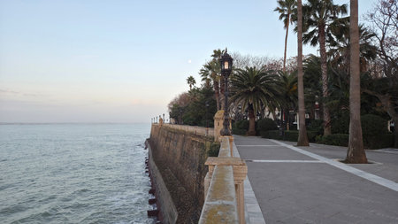 Empty seaside promenade with palm trees and ocean view, peaceful atmosphere.