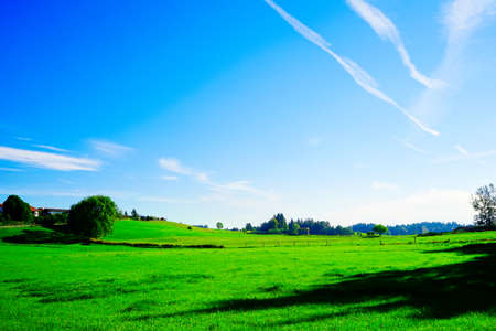 Neuschwanstein rural prairieの写真素材