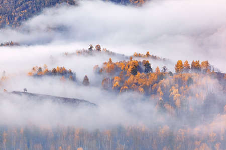 This film was shot in Hemu Village, Burqin County, Altay Prefecture, Xinjiang.