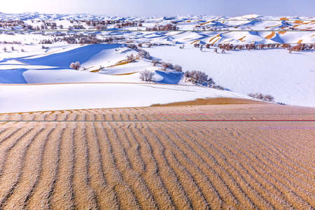 Photographed at Lobu Lake in the Taklimakan Desert in the Xinjiang Uygur Autonomous Regionの写真素材