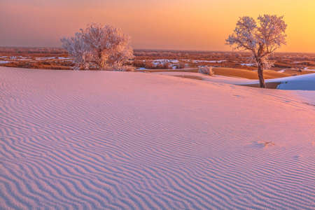Photographed at Lobu Lake in the Taklimakan Desert in Xinjiangの写真素材