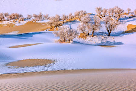 Photographed at Lobu Lake in the Taklimakan Desert in Xinjiangの写真素材