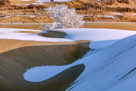 Photographed at Lobu Lake in the Taklimakan Desert in Xinjiangの写真素材