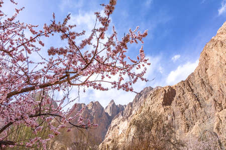 Taken in Datong Township, Taxkorgan County, Kashgar Region, Xinjiangの写真素材