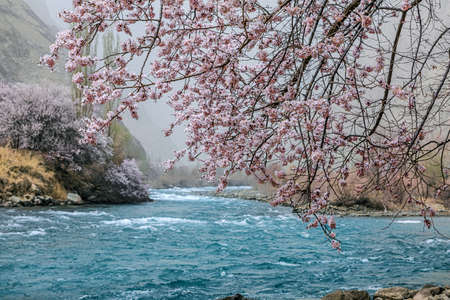 Taken in Datong Township, Taxkorgan County, Kashgar Region, Xinjiangの写真素材