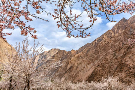 Taken in Datong Township, Taxkorgan County, Kashgar Region, Xinjiang
