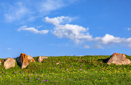Filmed at Nanshan Ranch in the south of Xinyuan County, Ili Kazakh Autonomous Prefecture, Xinjiang.