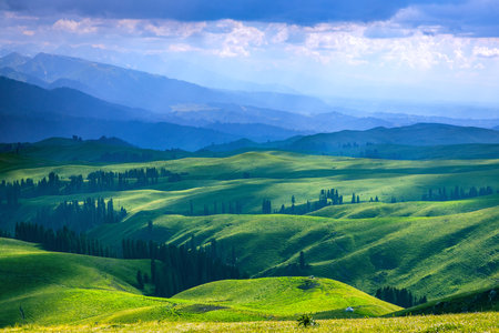 Photographed in the hinterland of Nalati Mountain, Nalati Grassland, a World Natural Heritage Site, in Xinyuan County, Ili Kazakh Autonomous Prefecture, Xinjiang, China.の写真素材
