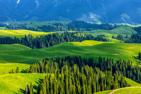 Photographed in the hinterland of Nalati Mountain, Nalati Grassland, a World Natural Heritage Site,...