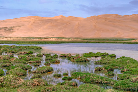 Photographed in the Altun Mountain National Nature Reserve in Ruoqiang County, Bayingolin Mongol Autonomous Prefecture, Xinjiang, China. With an average altitude of over 4,200 meters, it is the highest desert in the world and a paradise for wildlife.の写真素材
