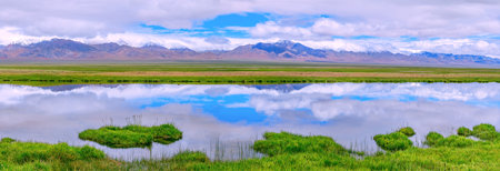 Photographed in the Altun Mountain National Nature Reserve in Ruoqiang County, Bayingolin Mongol Autonomous Prefecture, Xinjiang, China. With an average altitude of over 4,200 meters, it is the highest desert in the world and a paradise for wildlife.の写真素材