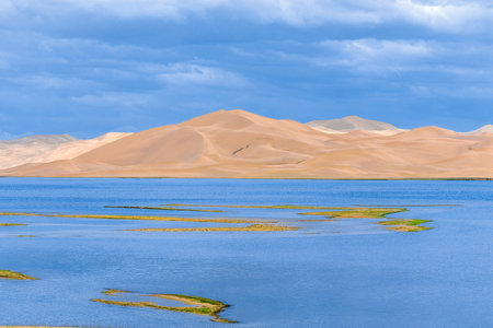 Photographed in the Altun Mountain National Nature Reserve in Ruoqiang County, Bayingolin Mongol Autonomous Prefecture, Xinjiang, China. With an average altitude of over 4,200 meters, it is the highest desert in the world and a paradise for wildlife.の写真素材