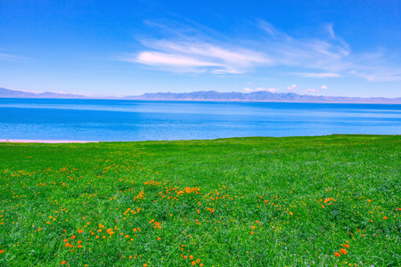 Photographed in the Sailimu Lake scenic area in Bortala Mongol Autonomous Prefecture, Xinjiang, Chinaの写真素材