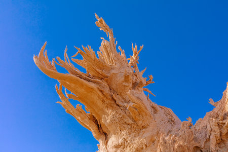 Photographed in Washi Town, Ruoqiang County, Bayingolin Mongol Autonomous Prefecture, Xinjiang, China.の写真素材