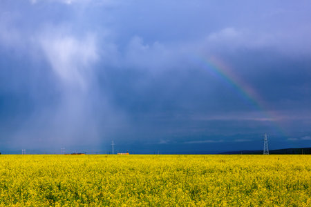 Photo taken in the farmland of Zhaosu County, Ili Kazakh Autonomous Prefecture, Xinjiang, China.の写真素材