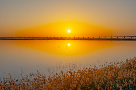 Photographed at Taitema Lake in Ruoqiang County, Bayingolin Mongol Autonomous Prefecture, Xinjiang, China.の写真素材