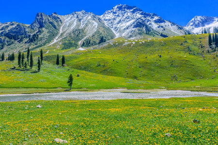 Photographed at Tangbula Grassland, Nileke County, Yili Kazakh Autonomous Prefecture, Xinjiang, China.の写真素材