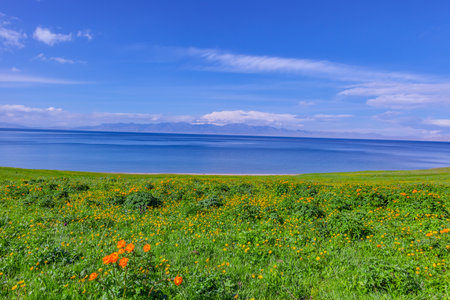 Photographed at the Sailimu Lake Scenic Area, Bole City, Bortala Mongol Autonomous Prefecture, Xinjiang, China.の写真素材